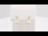 14K Yellow Gold Cultured White Freshwater Pearl & 1/6 CTW Natural Diamond Earrings