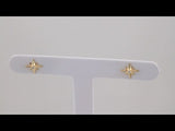 14K Yellow Gold .03 CTW Natural Diamond Star Earrings  