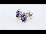 14K White Gold Lab-Grown Blue Sapphire & 1/3 CTW Natural Diamond Earrings 