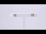 14K Yellow Gold 1/3 CTW Natural Diamond Sun Earrings
