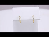 14K Yellow Gold 3/8 CTW Natural Diamond 13.64 mm Hoop Earrings