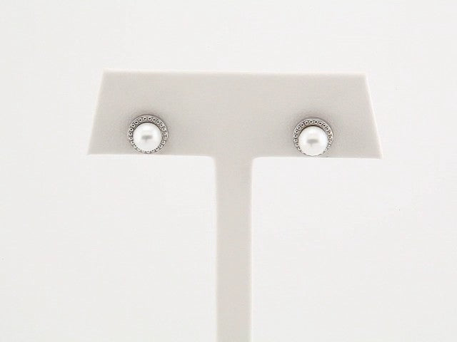 14K White Gold 5.5-6 mm Cultured White Freshwater Pearl Earrings