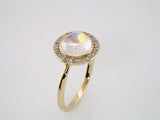 14K Yellow Natural Rainbow Moonstone & 1/8 CTW Natural Diamond Halo-Style Ring