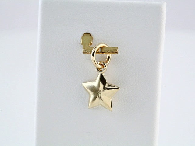 14K Yellow Posh Mommy®  Star Charm