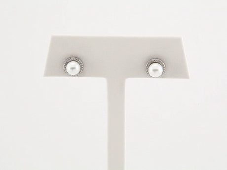 14K White Gold 5.5-6 mm Cultured White Freshwater Pearl Earrings