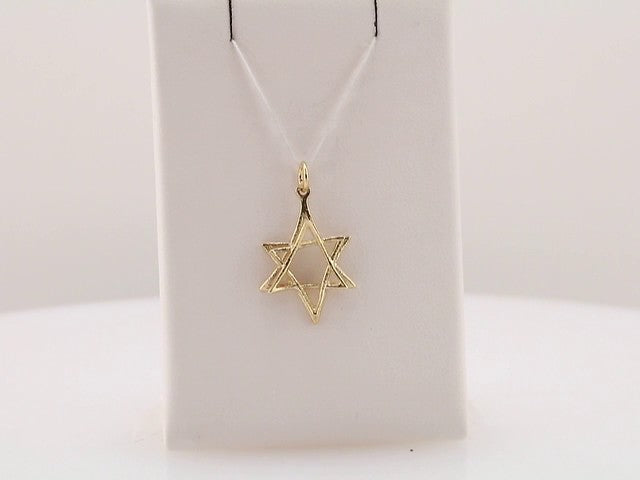 14K Yellow 20.75x15.25 mm Star of David Pendant