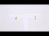 14K Yellow Gold 1/10 CTW Natural Diamond Hoop Earrings